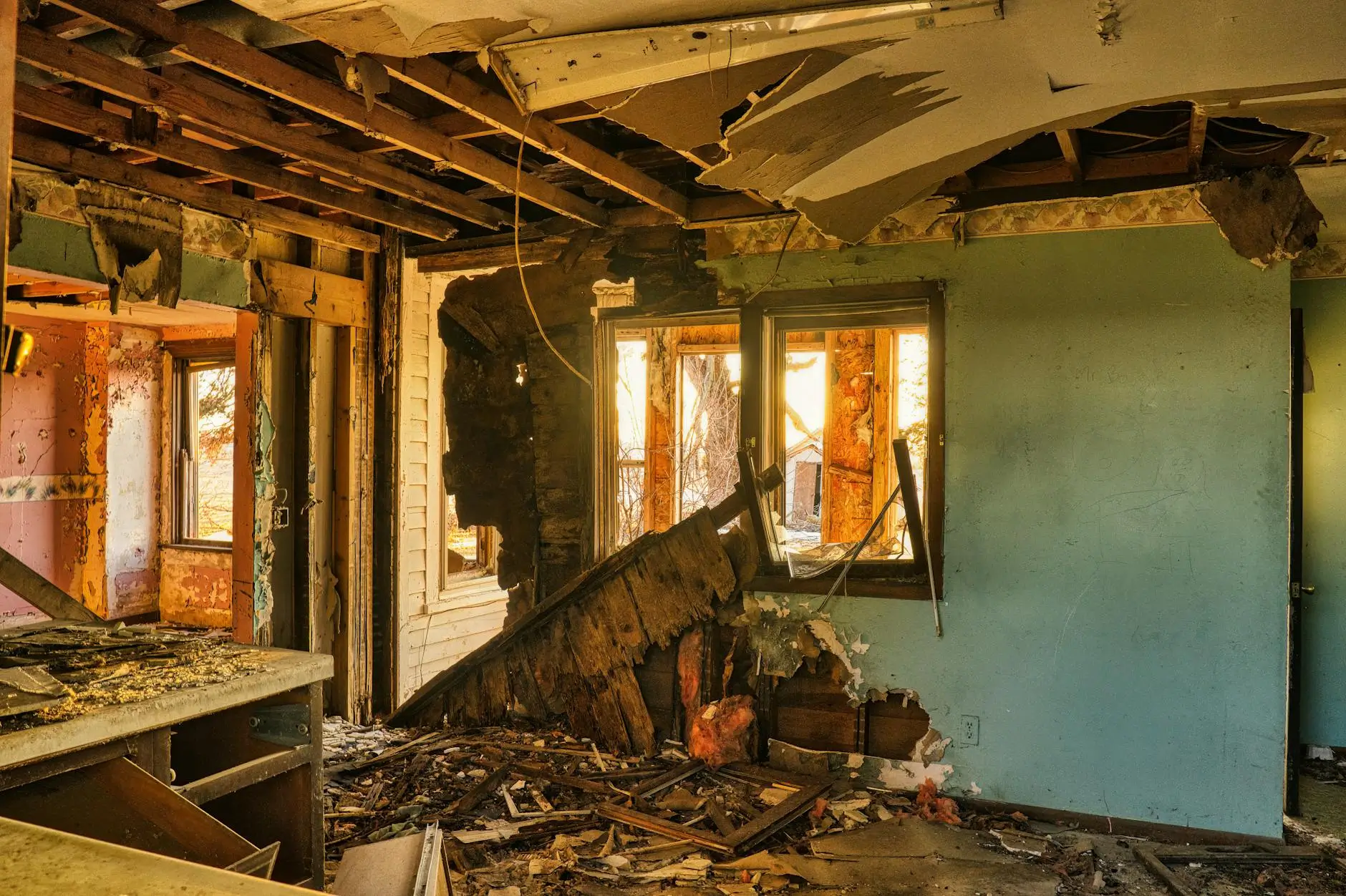 Leading Mold Removal Company in West Palm Beach, Florida — West Palm Beach, FL