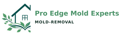 Pro Edge Mold Experts